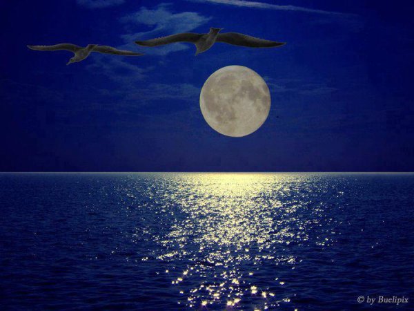Луна на берегу моря