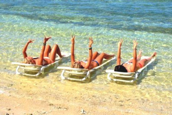 Собаки с пряжей