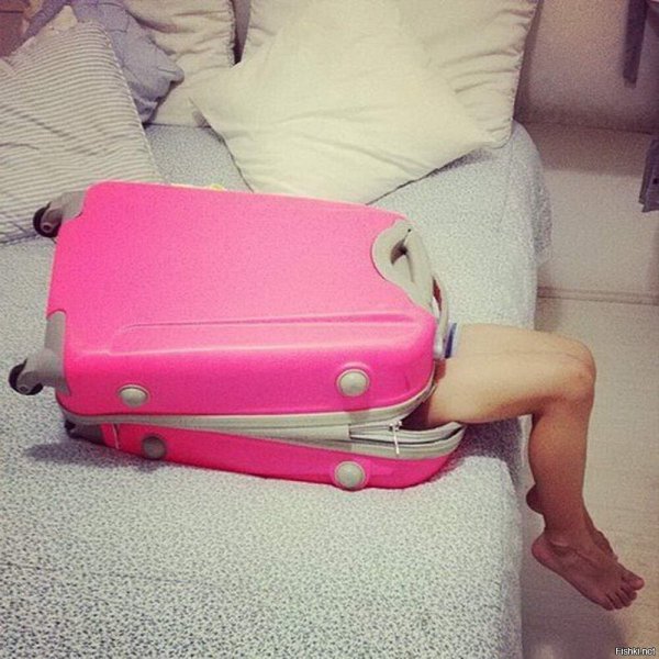 Свинья на берегу