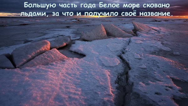 Белое море интересные факты