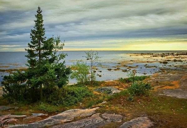Карелия Север белое море