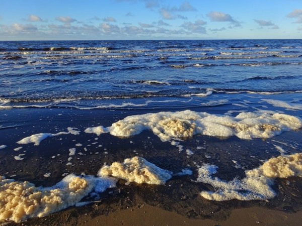 Белое море Тоня Гремяха