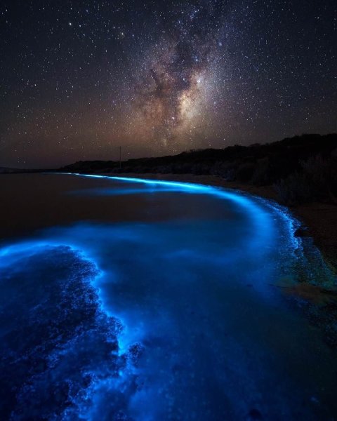 Остров Ваадху