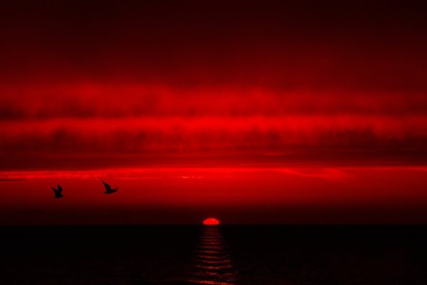 Красный закат