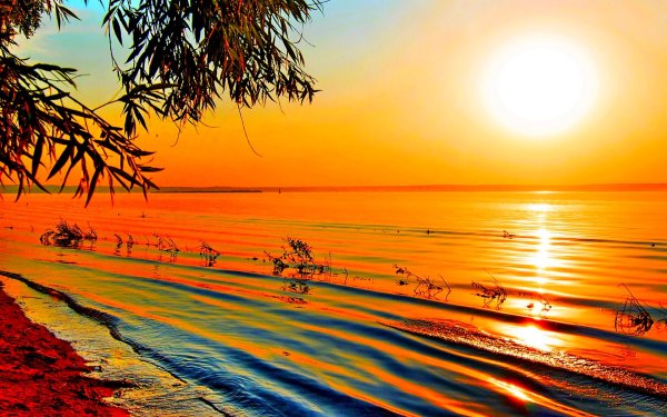 Оранжевый рассвет