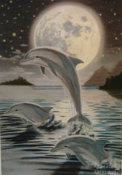 Дельфины в море карандашом