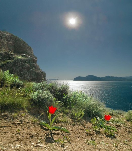 Весна в Крыму