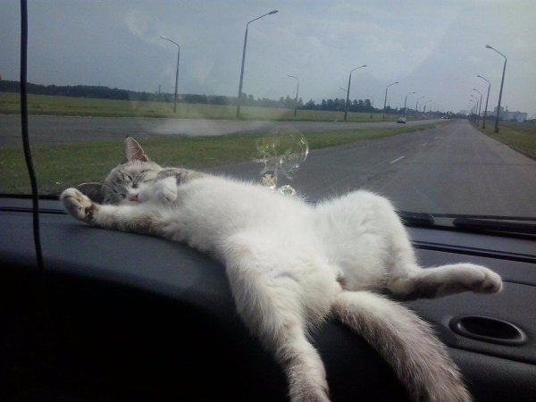 Крым надпись