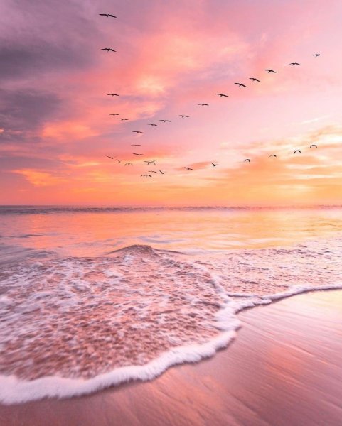 Розовый закат