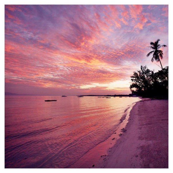 Розовый рассвет