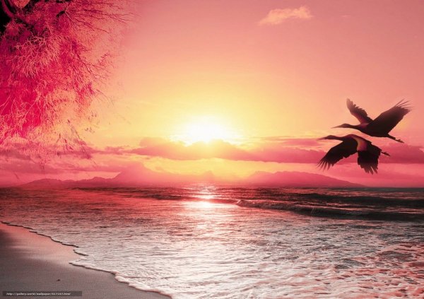 Нежный закат