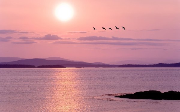 Нежный закат