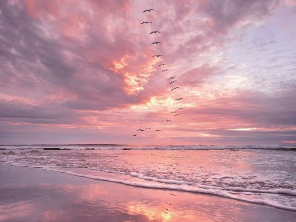 Розовый закат