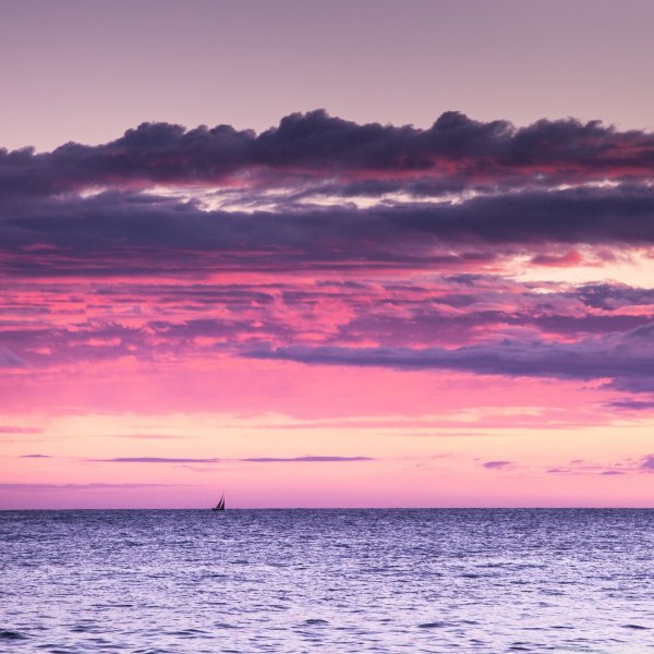 Розовый закат