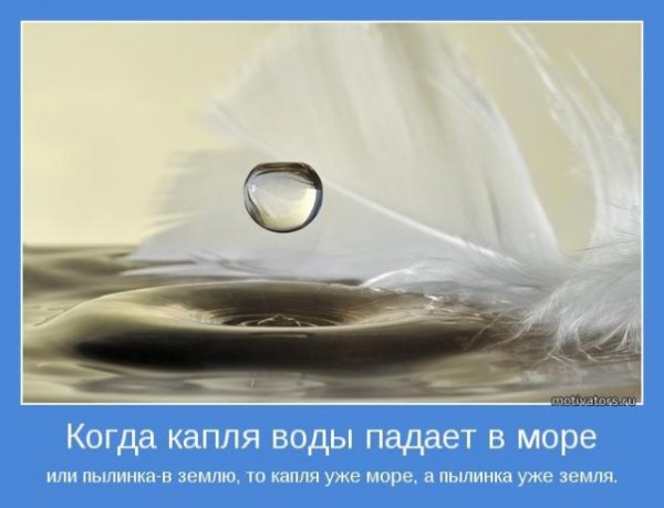 Мудрые мысли о воде