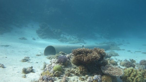 Морское дно