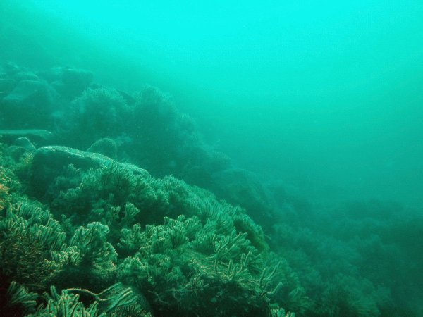 Дно черного моря