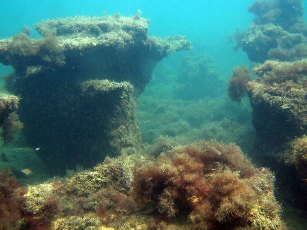 Дно черного моря 2000 метров