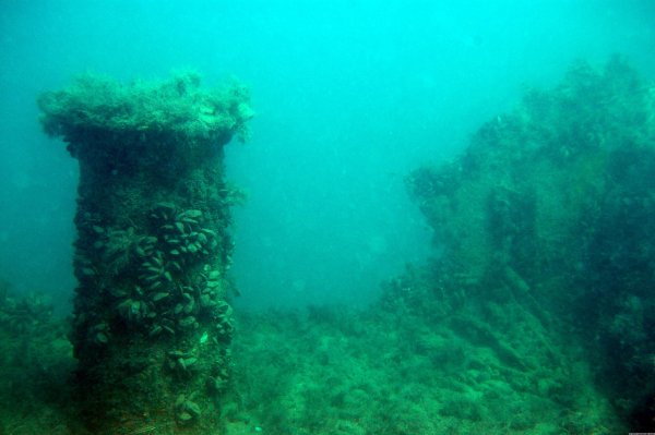 Дно черного моря сероводород фото