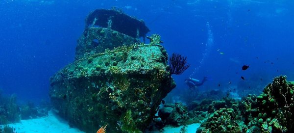 Сероводород на дне черного моря