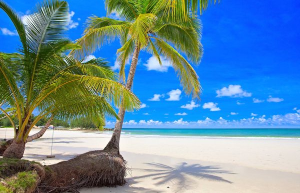 Остров Пальма