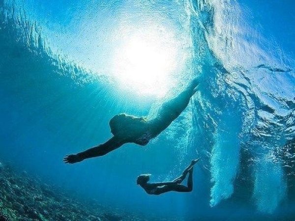 Девушка ныряет в воду