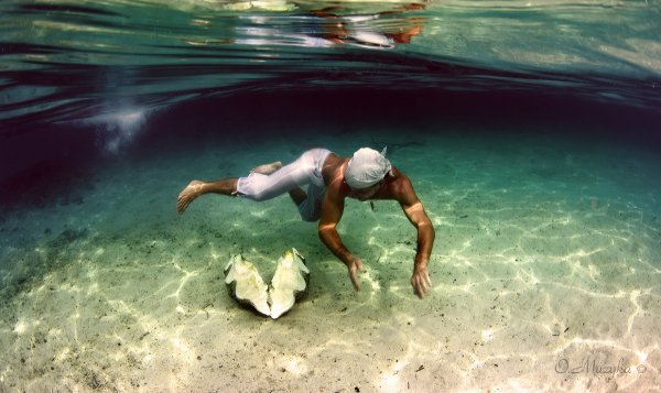 Жемчужина на дне моря