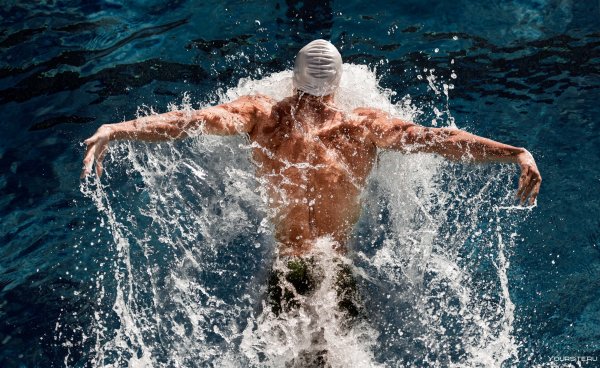 Ночной заплыв