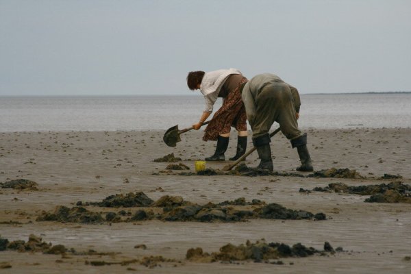 Копают черное море