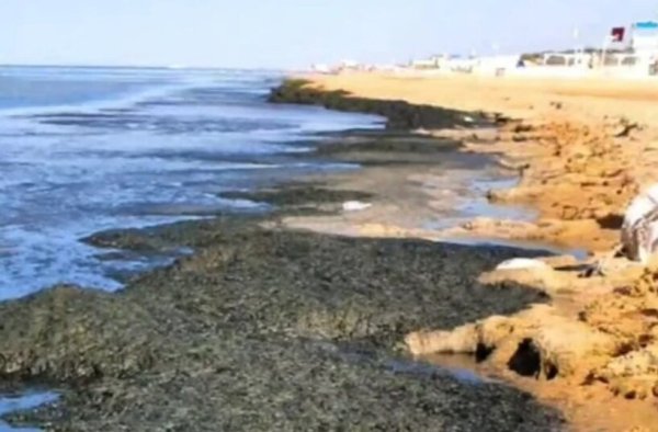 Черное море Крым