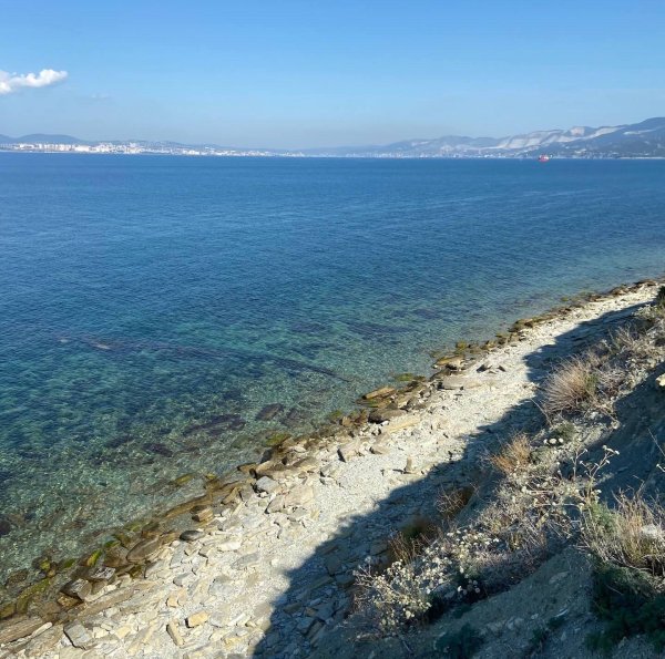 Сукко морская волна