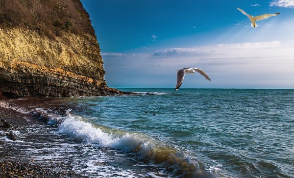 Море черного цвета