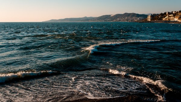 Черное море бывает