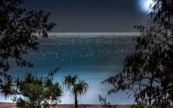 Берег моря Луна