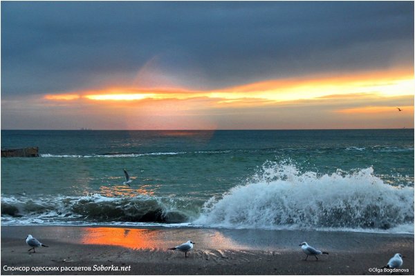 Как выглядит черное море в Одессе
