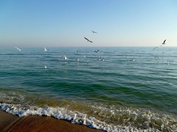 Одесса Одесса Жемчужина у моря