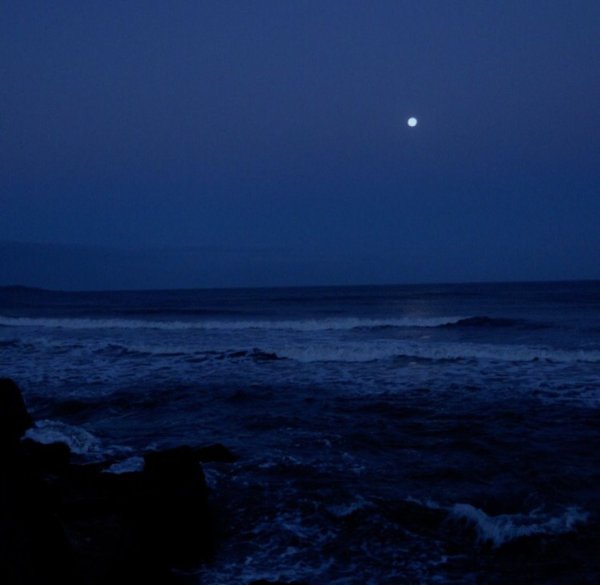 Бездна океана