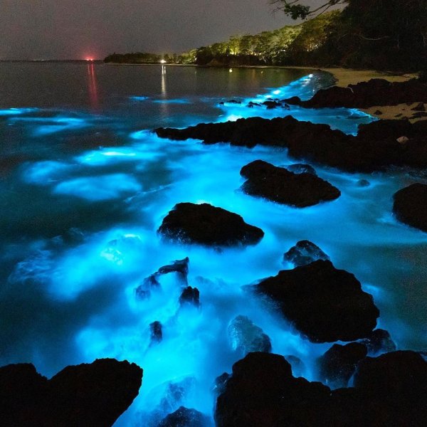 Девушка и звездное небо