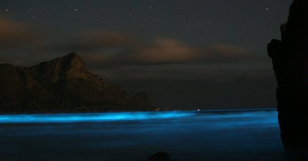 Темное море Эстетика