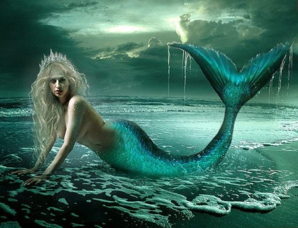 Серена или сирена Русалка