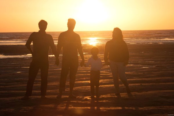 Семья со спины на закате