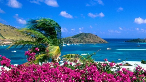 Природа море