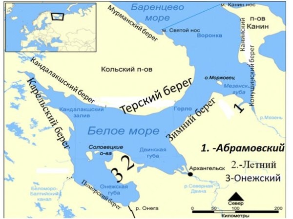 Баренцево море и Карское море на карте