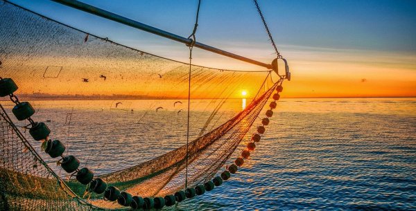 Фото рыбалки сети с моря