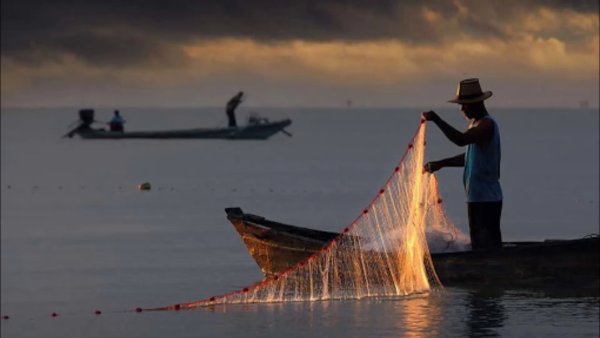 Рыболовная сеть