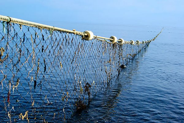 Рыбак на лодке в море