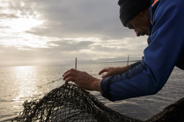 Берингово море рыбы