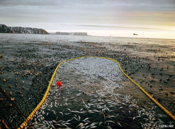 Рыбак с сетью