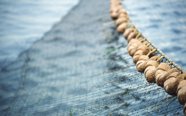 Рыбаки в шторм