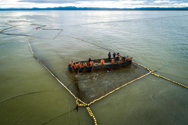 Пушкин Золотая рыбка невод
